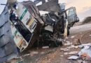 KUSHONE ONOGADA KUPHANGWA IMOTO YEMALI ESIGODLWENI SESILO