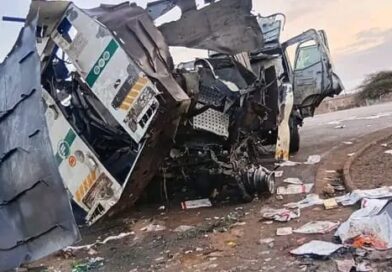 KUSHONE ONOGADA KUPHANGWA IMOTO YEMALI ESIGODLWENI SESILO