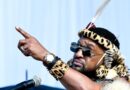 UKUBHONGA KWESILO KWENZE KWAVUNYWA IZINKINGA ZENGONYAMA TRUST