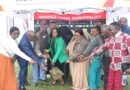 ITHEMBA KWETHULWA ISAKHIWO SENXANXATHELA ENKANDLA